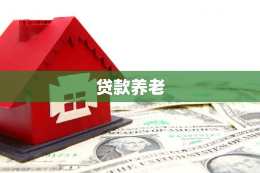 赣州贷款养老