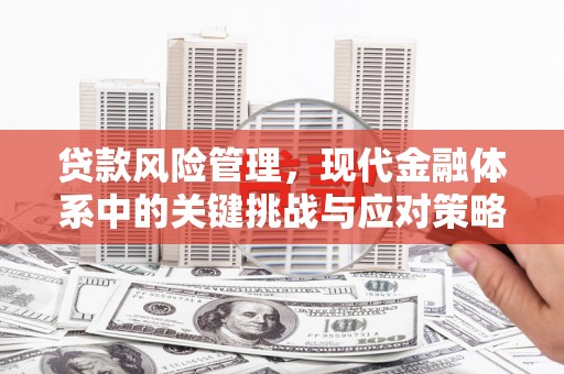 高平贷款风险管理，现代金融体系中的关键挑战与应对策略