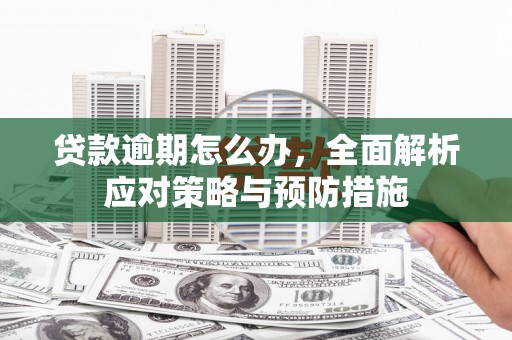 东风贷款逾期怎么办，全面解析应对策略与预防措施