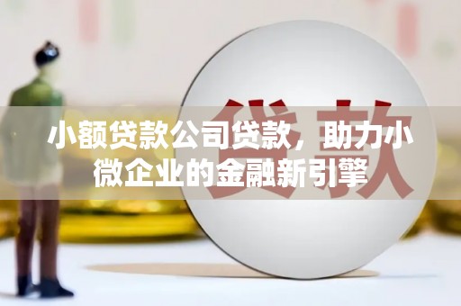 尖扎小额贷款公司贷款，助力小微企业的金融新引擎