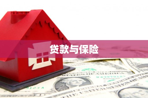 铁锋贷款与保险