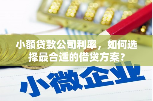永年小额贷款公司利率，如何选择最合适的借贷方案？