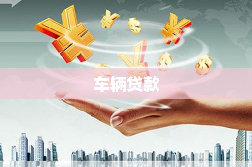 法库车辆贷款