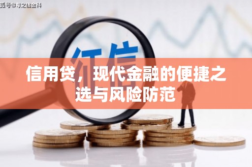 平乡信用贷，现代金融的便捷之选与风险防范