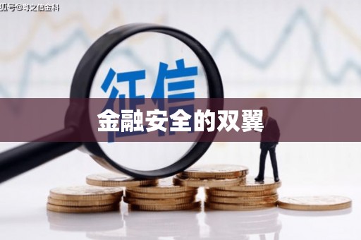 平远金融安全的双翼