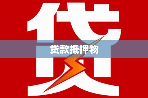 万峦贷款抵押物