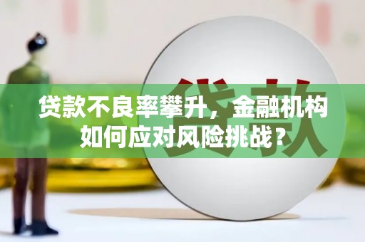 武陟贷款不良率攀升，金融机构如何应对风险挑战？