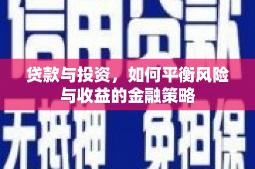 西丰贷款与投资，如何平衡风险与收益的金融策略