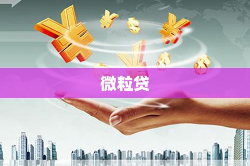 宁波微粒贷