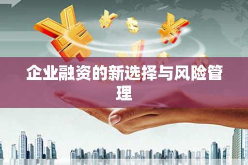 松北企业融资的新选择与风险管理