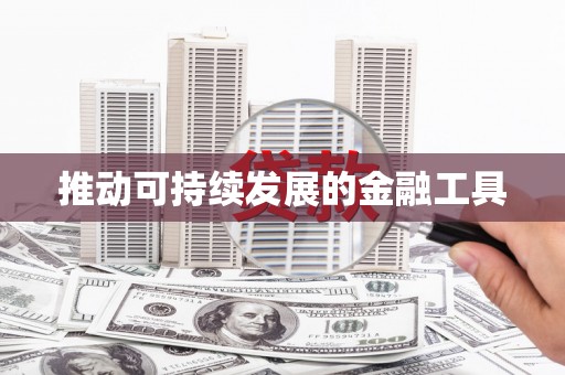瑞昌推动可持续发展的金融工具