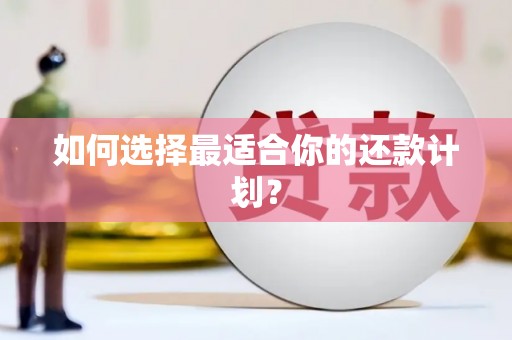 芦淞如何选择最适合你的还款计划？