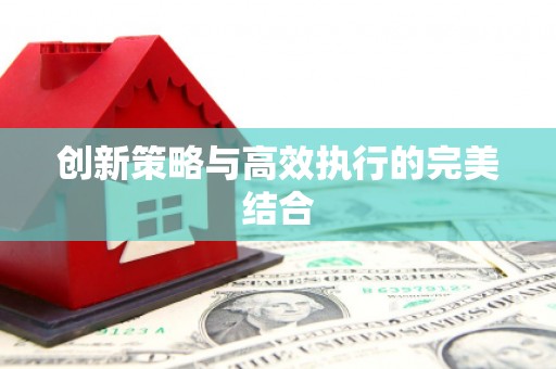 宛城创新策略与高效执行的完美结合