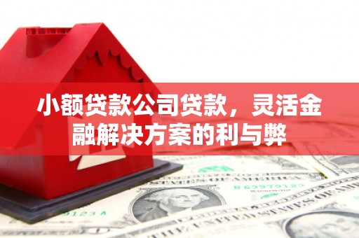 莱西小额贷款公司贷款，灵活金融解决方案的利与弊
